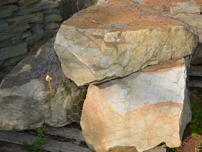 Mountain Laurel Boulders